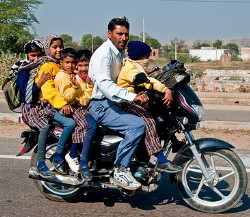 os perigos de comprar carro baseado apenas em design