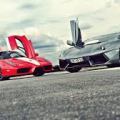 ferrari vs lamborghini&nbsp;2010_2