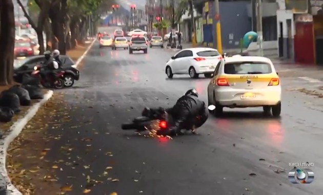 árvore de jamelão provoca acidentes em goiânia