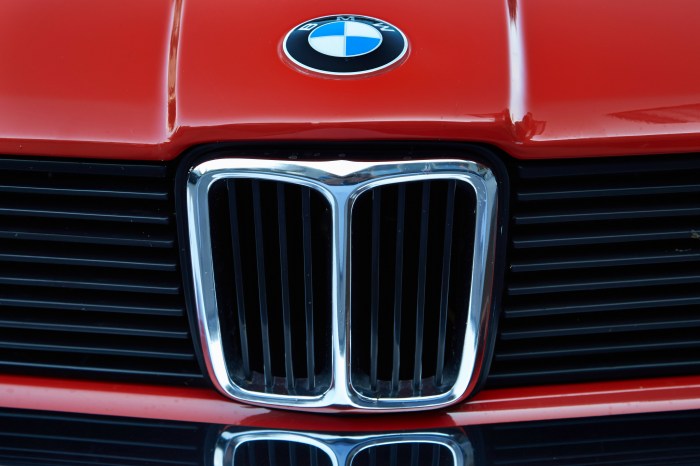 grade duplo rim BMW clássico